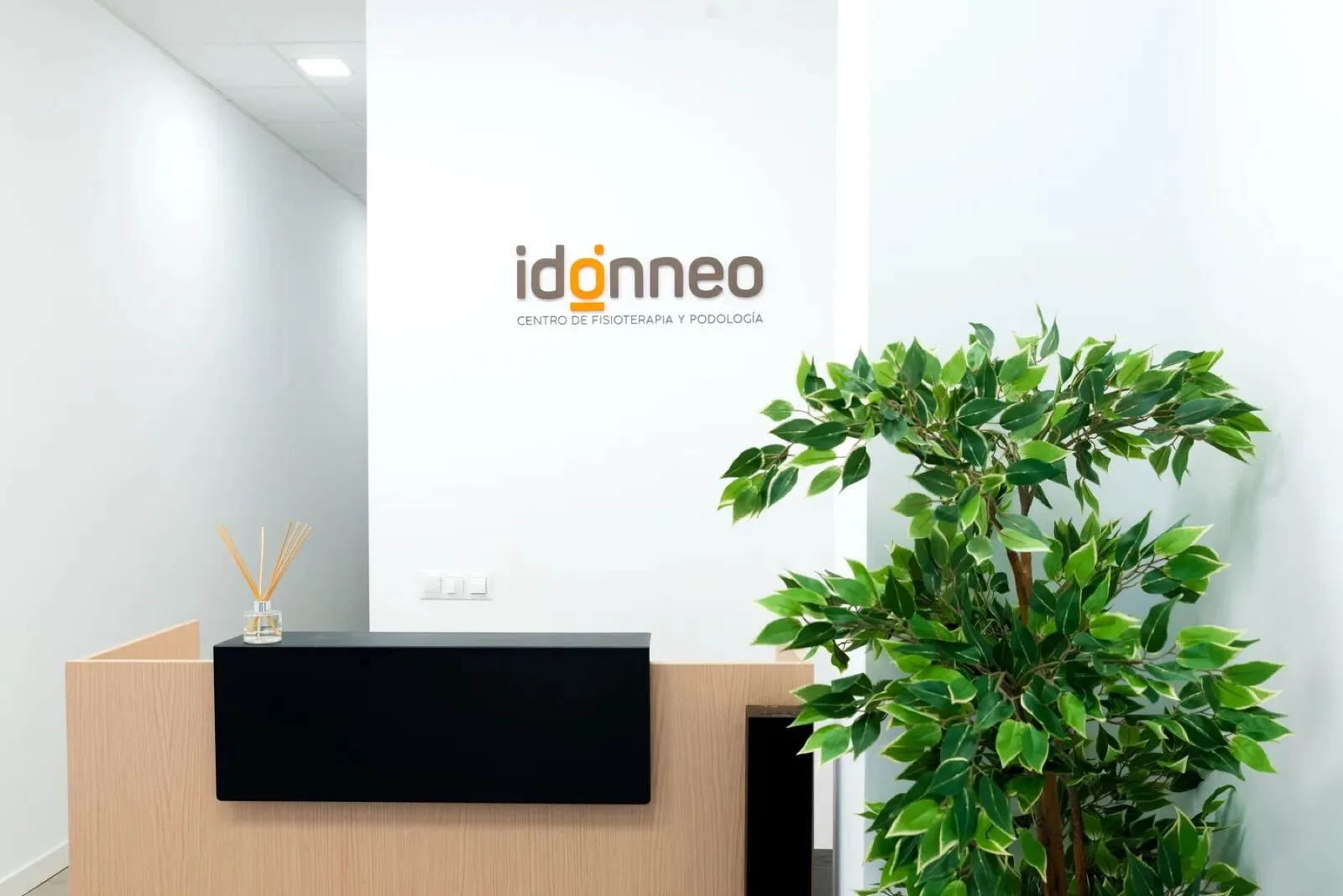 Proyecto Idónneo